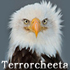 Terrorcheeta's Avatar