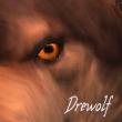 Drewolf's Avatar