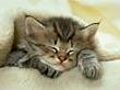Kishka's Avatar